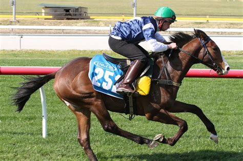 streets of avalon racehorse.
